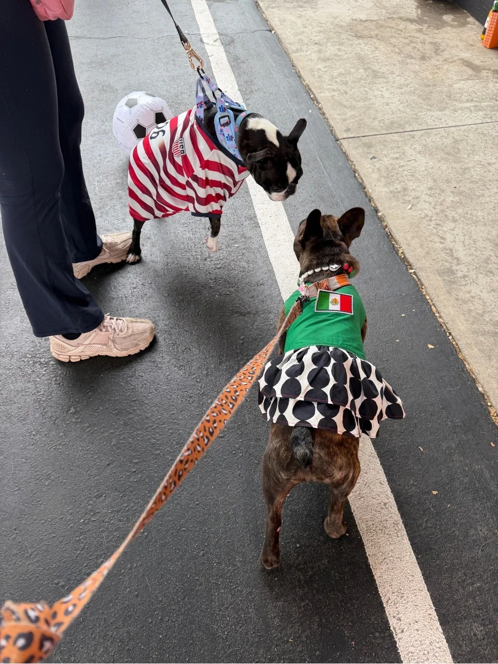 Handmade Pet Mexican Flag Applique Dress with Black & White Polka Skirt